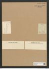 Diatomeae indet. Zeichnungen Sammlung Grunow Nr. 6625 (NHMW-BOT-W0375393)